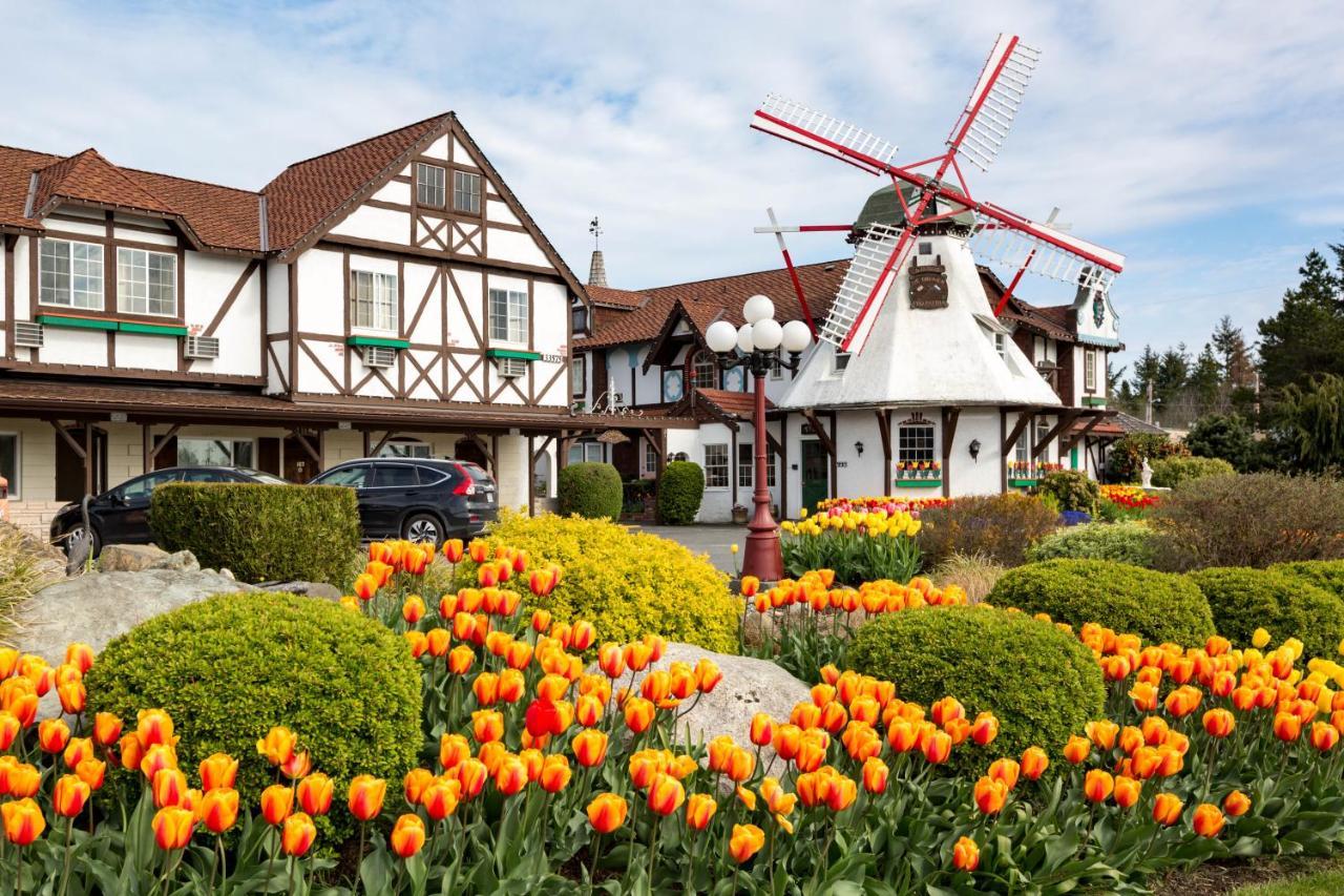 Auld Holland Inn Oak Harbor Buitenkant foto